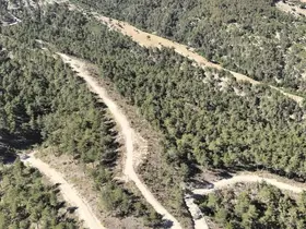 Orman köylülerine endüstriyel odundan 1 milyar TL’lik katkı
