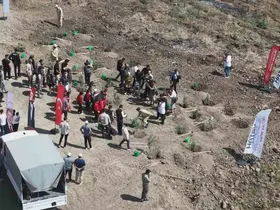 Orman yangınından zarar gören alana fidan ekildi
