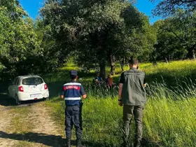 Orman yangınlarıyla mücadele tedbirleri masaya yatırıldı
