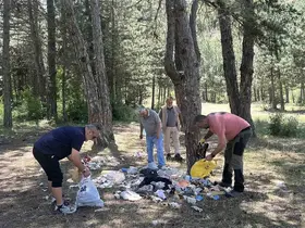 Ormana atılan cam şişeler hayrete düşürdü: Duyarsız kalmayan vatandaşlar tek tek topladı
