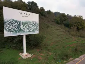 Ormana tabela asıp milyonlar topladılar
