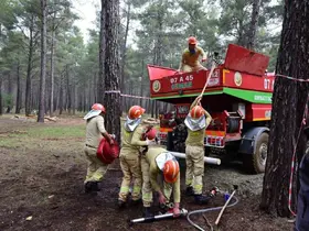 Ormancılar Antalya’da kıyasıya  yarıştı
