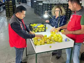 Ortaca’da ihracata giden ürünlere onay

