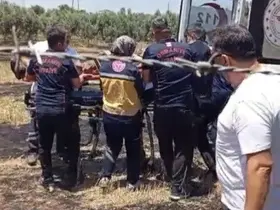 Osmaniye’de anız yangını meyve bahçelerine sıçradı: 1 kişi hastanelik oldu
