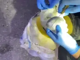 Osmaniye’de bal kabağından uyuşturucu çıktı
