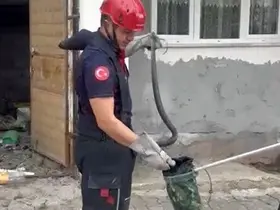 Osmaniye’de evin bahçesinde görülen yılan yakalandı

