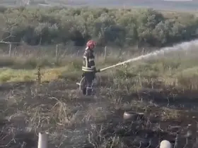 Osmaniye’de tankerin lastiklerinden çıkan yangın zeytin bahçesine sıçradı
