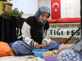 Osmaniye’de üniversiteli kızlar fıstık kırma yarışmasında kıyasıya mücadele etti
