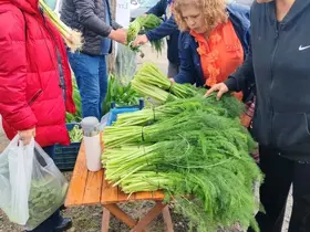 Ot festivali şiddetli yağışla yarıda kaldı

