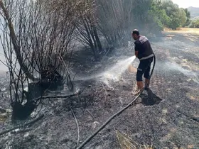 Ot yangını paniğe neden oldu
