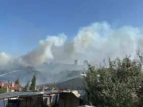 Otluk alanda çıkan yangın, fabrikaları ve villayı tehdit etti
