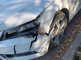 Otomobil ayıya çarptı
