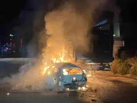 Otomobil ile büyükbaş hayvan yüklü tırın çarpışması sonucu yangın çıktı, 4 hayvan telef oldu
