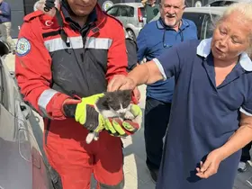 Otomobilin motor bölümüne sıkışan kedi kurtarıldı
