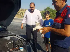 Otomobilin motoruna sıkışan kedi kurtarıldı
