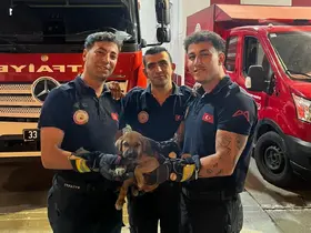 Otomobilin motoruna sıkışan yavru köpeği itfaiye kurtardı
