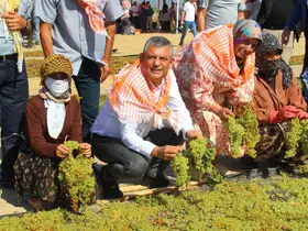 Özgür Özel, Manisa’da üzüm kurutma alanında üreticilerle buluştu
