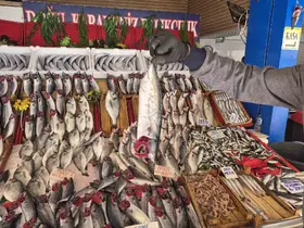 Palamut bu sezon hamsiyi geride bıraktı
