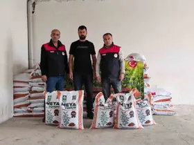 Palu’da üreticilere yüzde 70 hibeli kırmızı mercimek tohumu dağıtıldı
