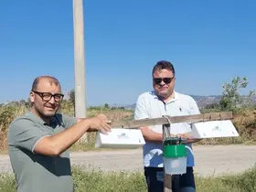 Pamuk tarlalarında zararlı takibi için feromon tuzakları kuruldu
