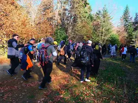 Pamukova’da sonbaharın renkleriyle 14 kilometrelik yürüyüş
