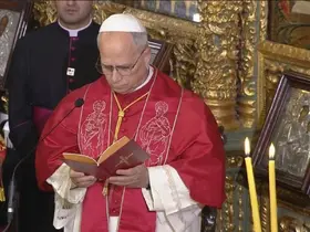 Papa 14. Leo, Fener Rum Patrikhanesi'nde