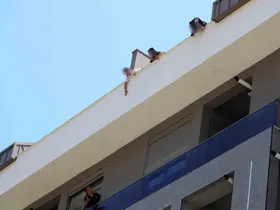 Paralarını alamadığını iddia eden işçiler inşaatın çatısına çıktı
