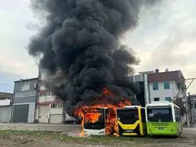 Park halindeki otobüsler cayır cayır yandı
