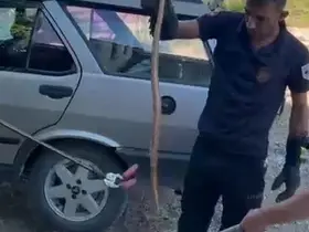 Park halindeki otomobile giren yılan paniğe neden oldu
