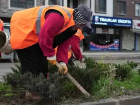 Park ve yeşil alanlarda peyzaj çalışmaları sürüyor
