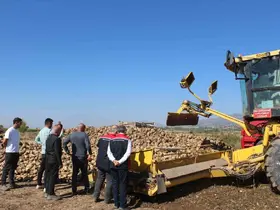 Pazar bölgesinde 450 bin tonluk pancar hasadı hedefleniyor
