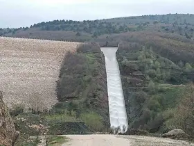 Pazaryeri tarımında altın dönem başlıyor
