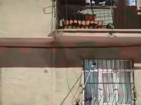 Pencere korkuluğundaki yılan ekiplerce yakalandı
