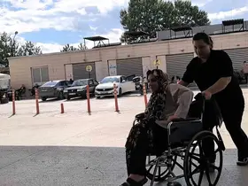 Piknik yaparken yılan ısırdı, hastaneye kaldırıldı
