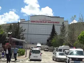 Piknikte akrep sokan kadın hastanelik oldu
