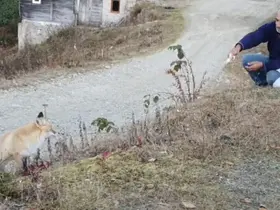 Pimbilona Yaylası’nda sıra dışı dostluk
