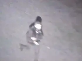 Polis kılığına girip 3 milyonluk vurgun yaptılar
