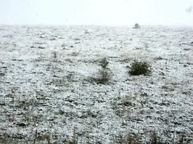 Posof’ta kar yağışı
