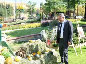 Pursaklar’da bulunan Ata Bahçesi’nde yetiştirilen sebzeler ve meyveler hasat edildi
