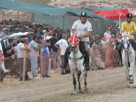 Rahvan atlar Menemen’de yarışacak

