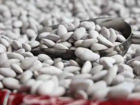 Ramazan soflarının vazgeçilmezi ’Badem Şekerine’ yoğun talep
