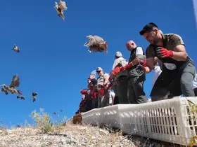 Ravanda Kalesi’nde doğa yeniden kanatlandı
