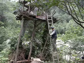 Rize’de karakovan balı Anzer Balı’nı solladı
