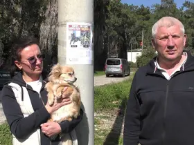Rus sahipleri, kaybolan köpeklerini sokak sokak arıyor: Canlı bulana 100 bin, ölü bulana 10 bin ödül
