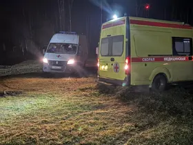 Rusya’da savaş uçağı düştü: 2 ölü
