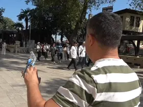 Sahibinin omzunda ve elinde çarşıyı geziyor
