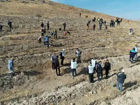 ‘Şahidimiz Toprak, İmzamız Fidan, Sevdamız Yeşil Vatan’ Yahyalı’da hayat buldu
