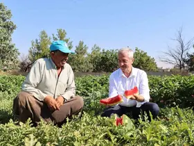 Şahinbey’den çiftçilere 53 milyon fide desteği
