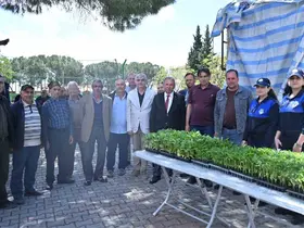 Salihlili üreticilere 34 bin sebze fidesi
