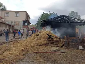 Samsun’da ambarda yangın: 7 ton buğday küle döndü
